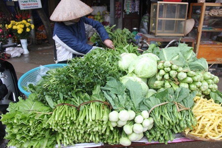 Rau xanh bán tại các chợ chủ yếu vẫn là các loại rau thông thường.